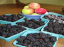 Ingredients for Blackberry and Apple Wine